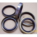 Good Wear Resistant Tiffened Ring Prevent Leakage Tb Rubber Oil Seal Viton